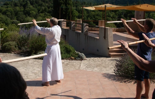 Stage qi gong japonais kikozen