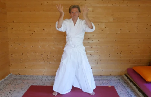 cours qi gong en ligne kikozen